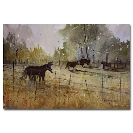 Trademark Fine Art Ryan Radke 'Pastoral' Canvas Art, 16x24 RAR0049-C1624GG